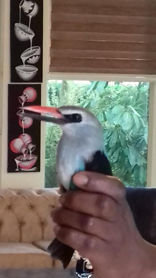 Ikaze B&B Kigali Kültér fotó